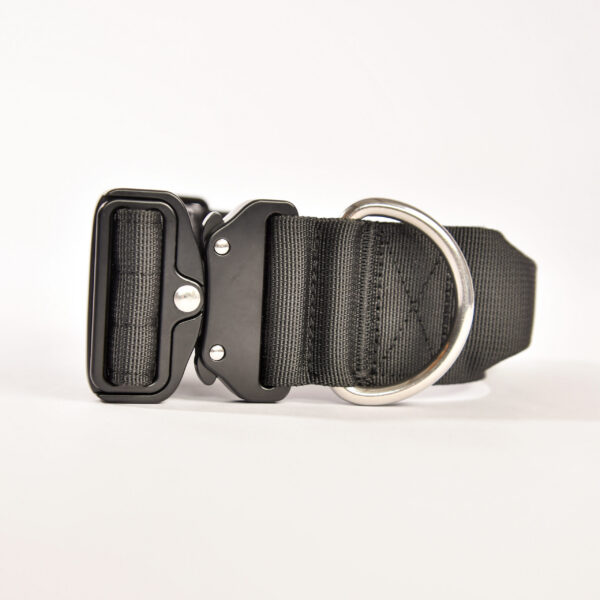 Collier pour chien avec poignée intégrée- Confort et maîtrise en un seul accessoire.