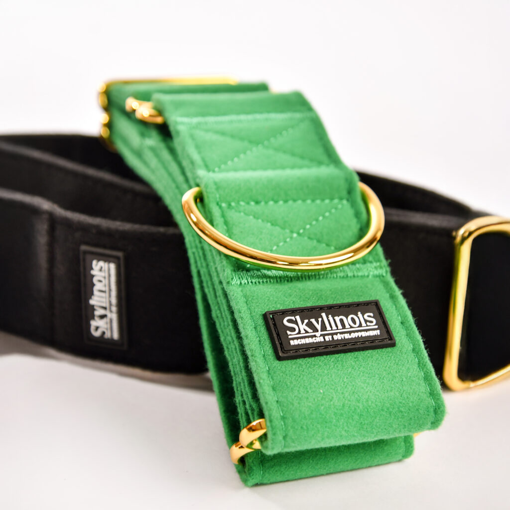 Collier Semi-étrangleur pour chien- Education en douceur et style assuré.