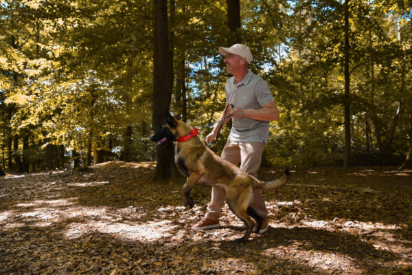 vincent0005 Laisse antidérapante pour chien de moyenne à grande taille 2m
