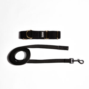 KIT COLLIER LAISSE SEMI-ETRANGLEUR-NOIR: TAILLE/S