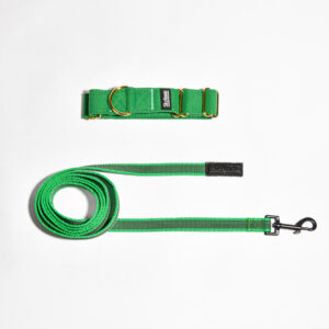 KIT COLLIER LAISSE SEMI-ETRANGLEUR: VERT/S