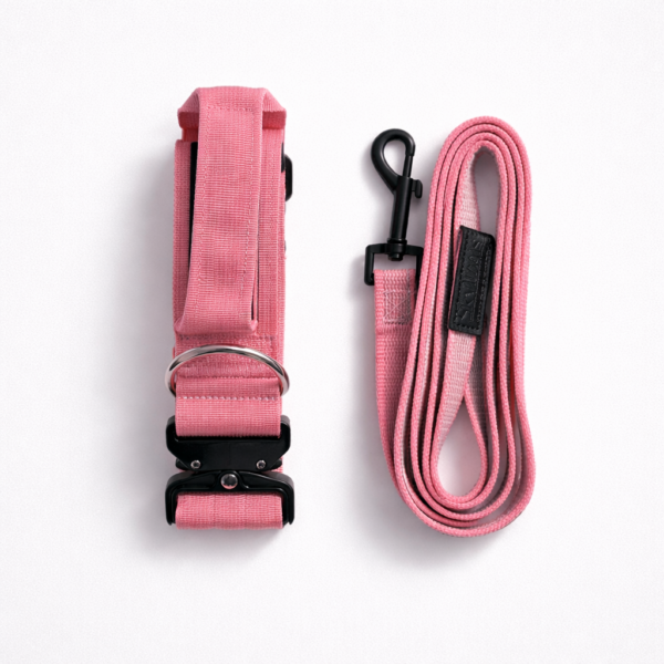 Kit collier et laisse pour chien – collier avec poignée + laisse antidérapante – Taille M Rose