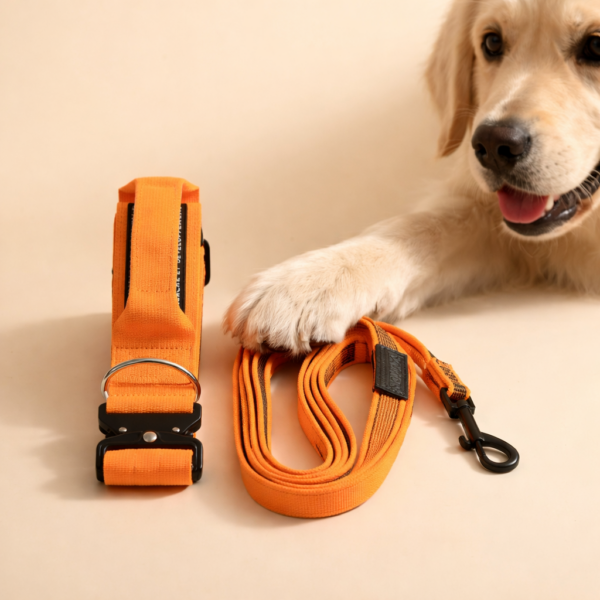 Kit collier et laisse pour chien – collier avec poignée + laisse antidérapante – Taille M Orange