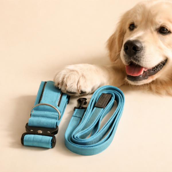 Kit collier et laisse pour chien – collier avec poignée + laisse antidérapante – Taille M Bleu