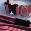 Kit collier et laisse pour chien – collier avec poignée + laisse antidérapante – Taille M Rose