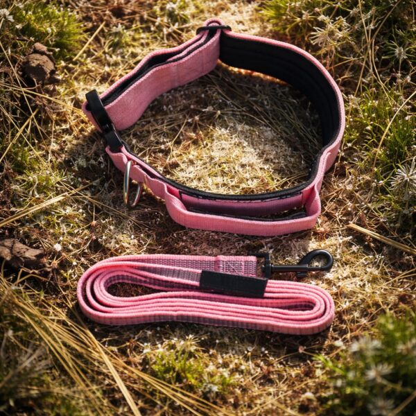 Kit collier et laisse pour chien – collier avec poignée + laisse antidérapante – Taille M Rose