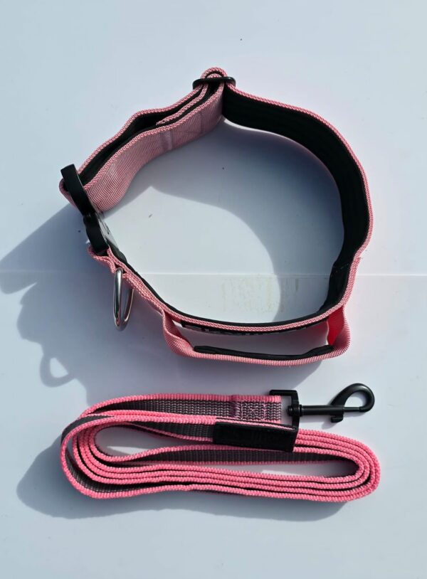 Kit collier et laisse pour chien – collier avec poignée + laisse antidérapante – Taille M Rose