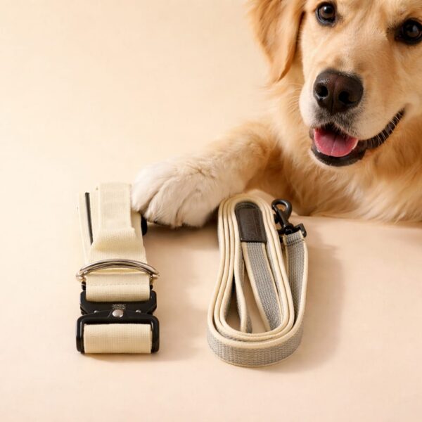 Kit collier et laisse pour chien – collier avec poignée + laisse antidérapante – Taille M Beige